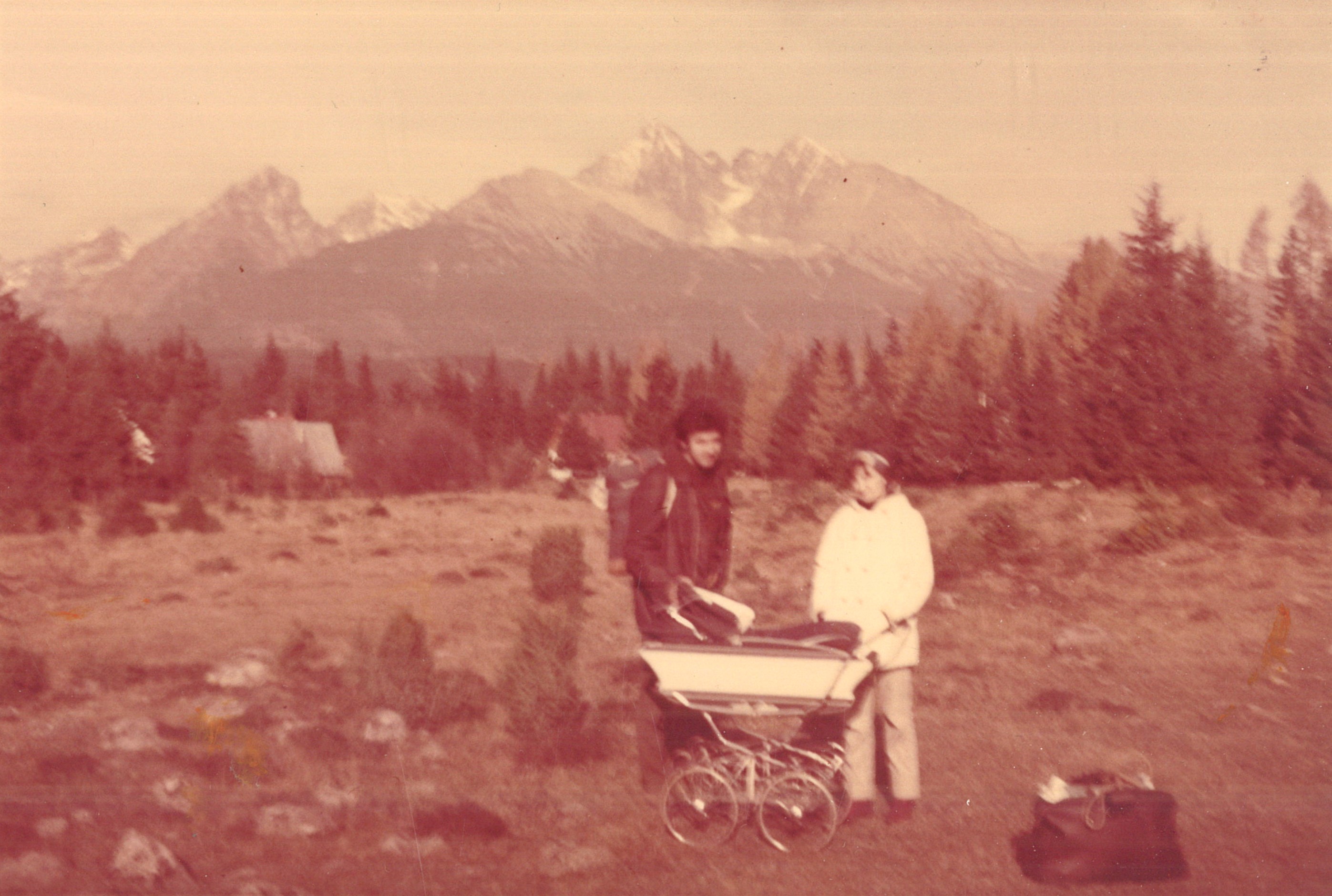 Deň po kalamite (24. október 1971) (Alojz Krupitzer)